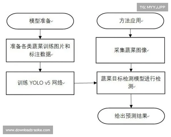 YOLO模型迁移学习识别篮球,降低背景干扰误差 YOLO模型迁移学习识别篮球,降低背景干扰误差